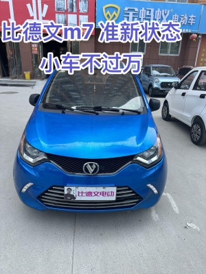 赤峰比德文電動(dòng)售后-第1張圖片