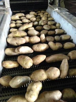 赤峰市土豆干洗廠地址電話號(hào)碼-第1張圖片