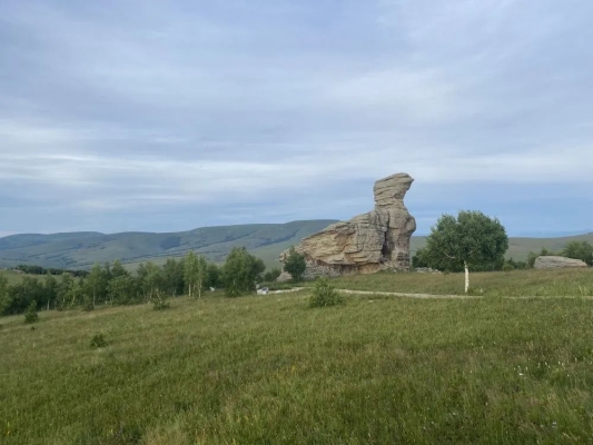 赤峰長(zhǎng)城獸藥廠電話多少號(hào)-第1張圖片
