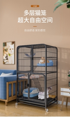 赤峰市寵物貓舍電話號碼-第1張圖片