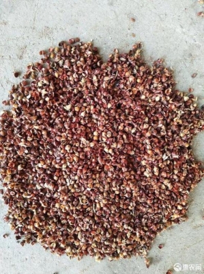 赤峰谷草顆粒加工廠電話號碼-第1張圖片