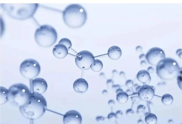 赤峰市耐鹽酵母廠電話號(hào)碼-第1張圖片