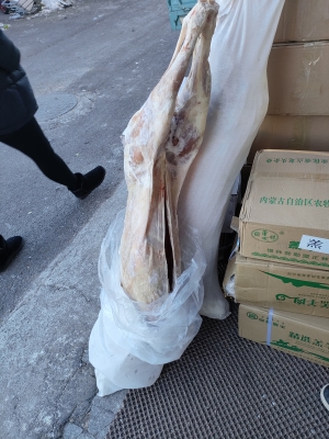 赤峰白領(lǐng)麗家的電話-第1張圖片