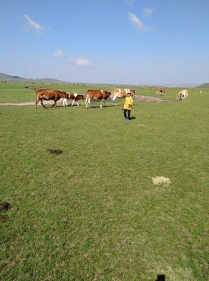 赤峰麗賓美發(fā)電話地址查詢號(hào)碼-第1張圖片
