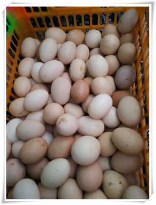 赤峰豐收路合作社電話地址查詢-第1張圖片