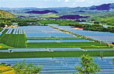 赤峰市包裝紙廠電話地址查詢-第1張圖片