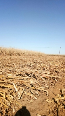 赤峰關(guān)家營曉芹診所電話號碼-第1張圖片