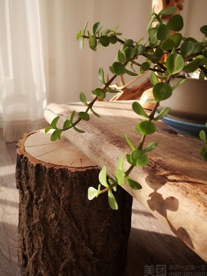 赤峰梵舍瑜伽館電話多少號(hào)-第1張圖片