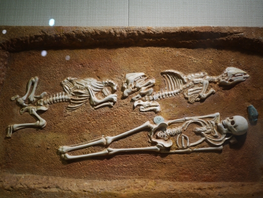 赤峰市肖像館電話多少號-第1張圖片