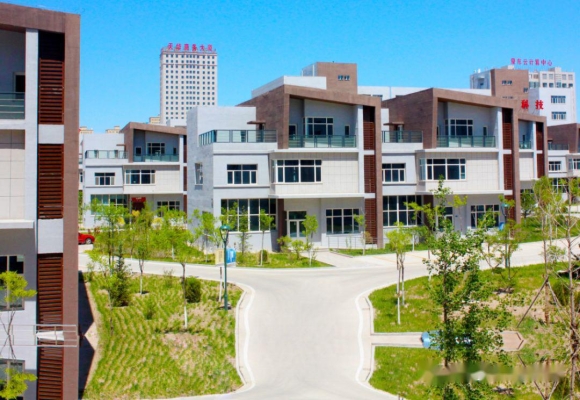 赤峰博雅美容院電話多少號-第1張圖片