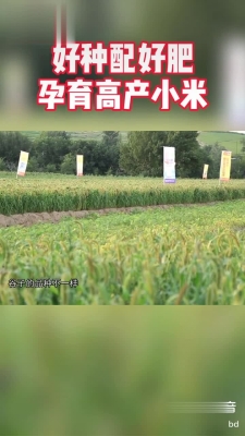 赤峰市賣化肥電話號碼多少號-第1張圖片