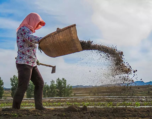 赤峰賣棒球棍電話號(hào)碼查詢地址-第1張圖片
