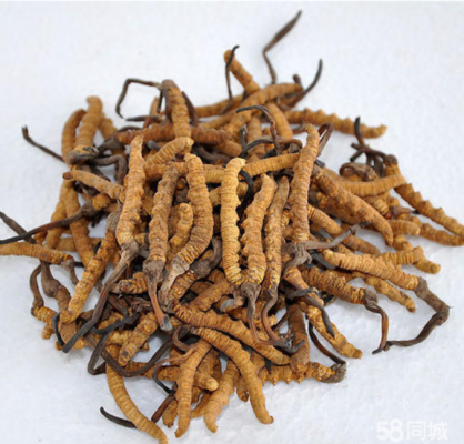 赤峰花膠回收電話地址是多少號-第1張圖片