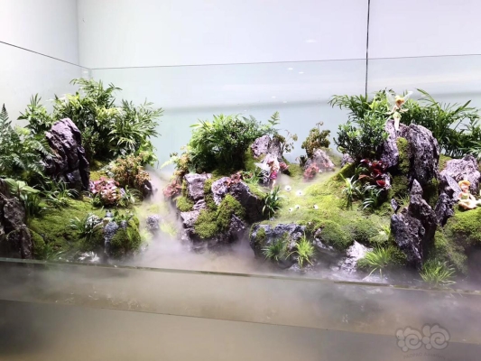 赤峰水陸缸造景定做電話號(hào)碼-第1張圖片