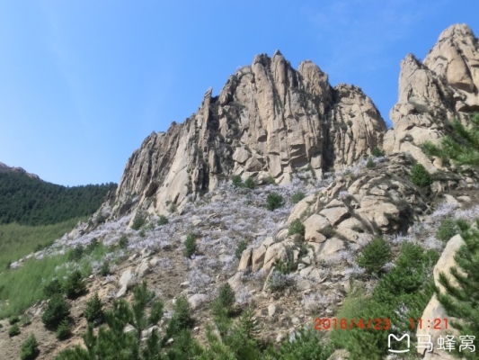 赤峰寧城捆草機(jī)廠家電話號碼-第1張圖片