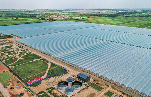 赤峰牧草種植基地-第1張圖片
