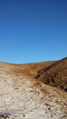 赤峰市石洞子社區(qū)電話號(hào)碼是多少-第1張圖片