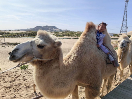 赤峰景麗臺(tái)球館電話號(hào)碼多少-第1張圖片