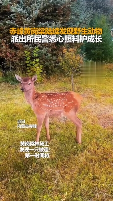 赤峰帥航面館地址電話查詢號碼-第1張圖片