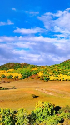 赤峰林東訂婚宴電話地址查詢-第1張圖片