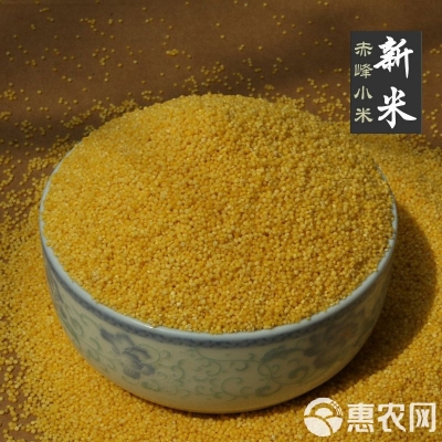 赤峰橋北小米專賣店電話號碼-第1張圖片