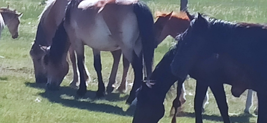 赤峰市鈞豪物業(yè)招聘電話號(hào)碼-第1張圖片