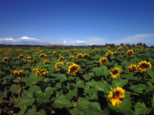 赤峰市松山區(qū)水利局電話-第1張圖片