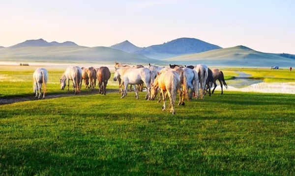 內(nèi)蒙古赤峰版權(quán)局電話號(hào)碼-第1張圖片