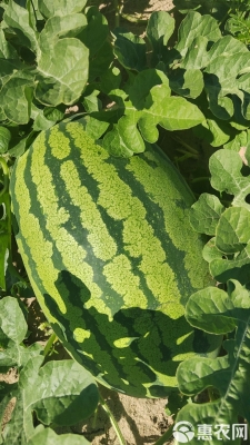 赤峰市烏丹鎮(zhèn)政府-第1張圖片