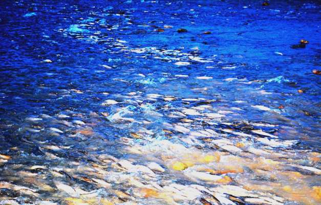 赤峰水泡子轉(zhuǎn)租電話號碼查詢電話-第1張圖片