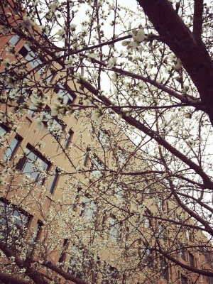 赤峰二中芳華校區(qū)地址電話號碼-第1張圖片