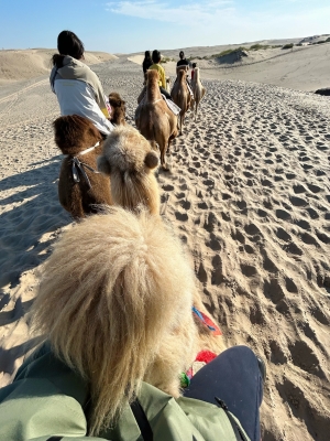 赤峰玩具批發(fā)店電話號碼多少-第1張圖片