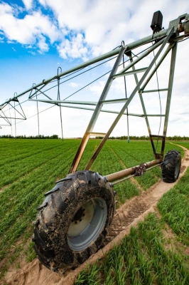 赤峰宏鑫養(yǎng)殖場(chǎng)地址電話號(hào)碼-第1張圖片