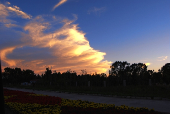 赤峰站蜂鳥燒烤電話號碼查詢-第1張圖片