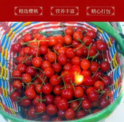 赤峰市壞果包賠公司電話號碼-第1張圖片