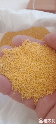 赤峰萬(wàn)達(dá)小米 電話號(hào)碼查詢(xún)-第1張圖片