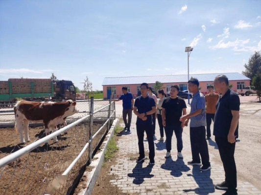 赤峰重鋼結(jié)構(gòu)施工隊(duì)電話號碼-第1張圖片