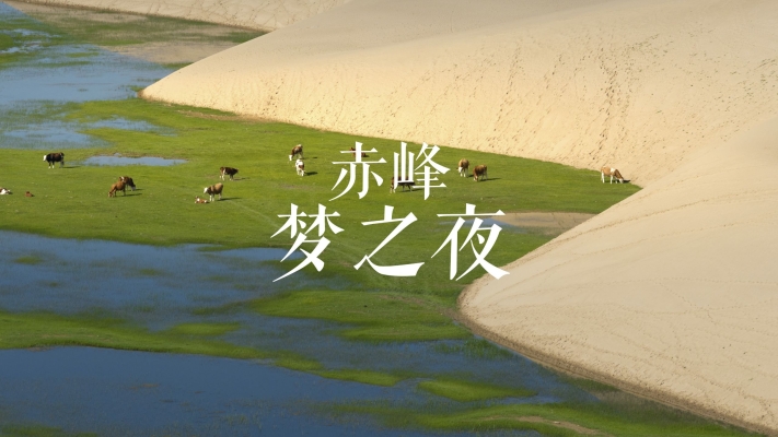 赤峰盛海足浴店電話多少號-第1張圖片