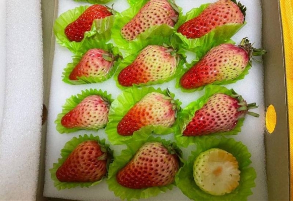 赤峰大阪超市團購平臺電話號碼-第1張圖片