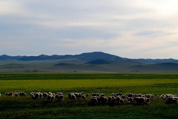 赤峰乃林秧歌隊地址電話號碼-第1張圖片