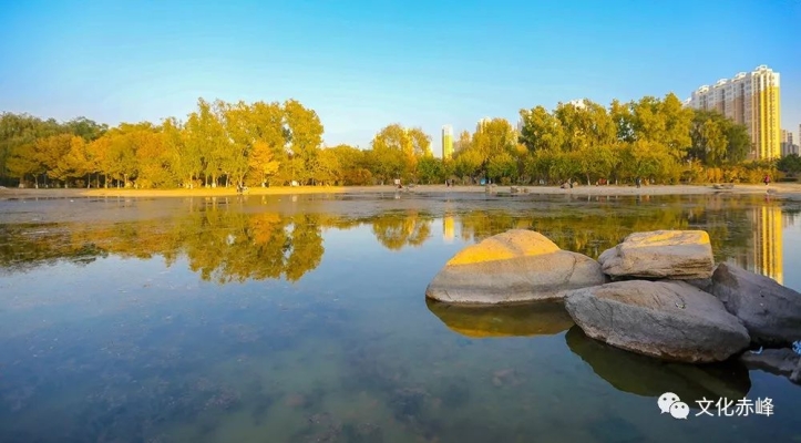 赤峰精煉劑廠家電話多少號-第1張圖片