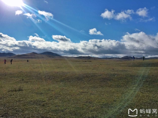 赤峰三道井小院電話多少號-第1張圖片