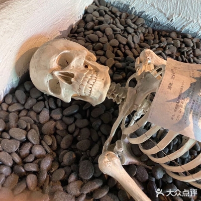 赤峰探店紋身店電話號(hào)碼查詢-第1張圖片