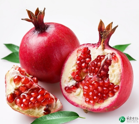 赤峰植物提取物廠家電話號(hào)碼-第1張圖片