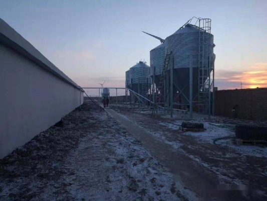 赤峰中糧公司地址電話號碼-第1張圖片