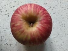 赤峰潔面團(tuán)購電話號(hào)碼查詢是多少-第1張圖片