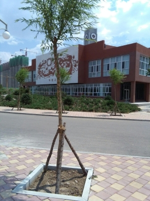 赤峰十二中學(xué)電話號碼是多少-第1張圖片