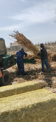 赤峰豬槽批發(fā)市場(chǎng)電話號(hào)碼-第1張圖片