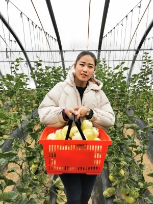 赤峰西荒采摘園電話號(hào)碼多少-第1張圖片