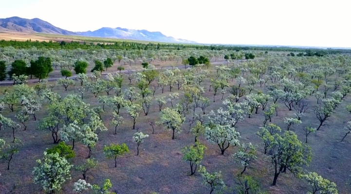 赤峰草原無人機公司電話號碼-第1張圖片
